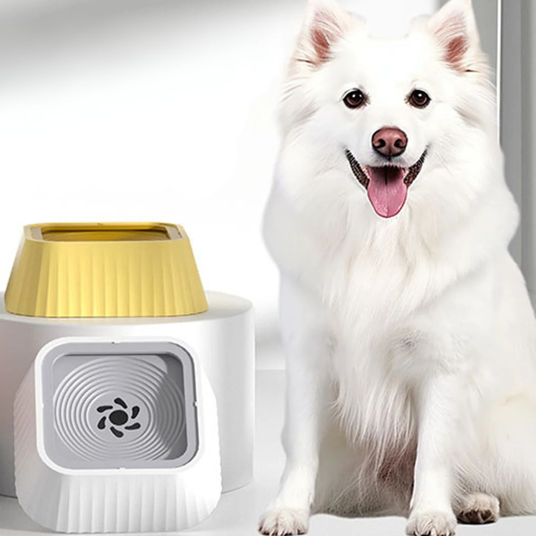 Anti Splash water bowl for dogs yellow color